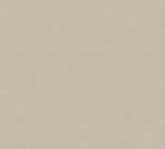 Papier peint uni beige Beige