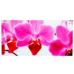 Glasbild T115 50x100cm Orchide Glas - 100 x 50 x 4 cm