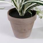 Kunstpflanze Chlorophytum Grau - Kunststoff - 45 x 45 x 45 cm