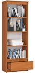 Mehrzweckschrank R60 1S 4R CLP Orange