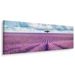 3D Lavendelfeld Panoramabild Landschaft