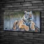 Wandbild Tiger Braun - Textil - Holz teilmassiv - 100 x 50 x 4 cm