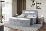 Boxspringbett - ORGOL Grau - Breite: 200 cm - H3