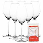 Champagnergläser Hi-Lite 6er Set + Tuch Glas - 8 x 23 x 8 cm