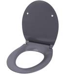 WC-Sitz mit Absenkautomatik Flat Grau Grau - Kunststoff - 38 x 6 x 47 cm
