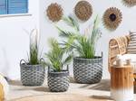 Outdoor Blumentopf GEFIRA 3-tlg Grau - Weiß - Polyrattan - 49 x 50 x 49 cm