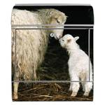 Stahl Briefkasten Schaf Und Lamm