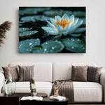 Bild Lotus Blumen IX 70 x 50 cm