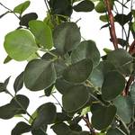 Plante artificielle Eucalyptus Vert - Matière plastique - Textile - 80 x 180 x 80 cm
