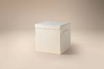 Lifeney Aufbewahrungsbox Deckel in Beige Kunststoff - 33 x 34 x 4 cm