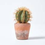 Klein K眉nstlicher Kaktus mit orange