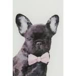 Tableau en verre Fashion Dog Blanc - Verre - 60 x 80 x 4 cm