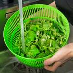 Salatschleuder Salattrockner Kunststoff Grün - Kunststoff - 25 x 21 x 25 cm