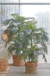 Palme Kunstpflanze Areca