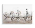 Leinwandbild Gallop Pferde Tiere Sand 3D 70 x 50 x 50 cm