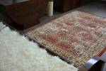 Tapis En Laine Vera 3237 Fleurs Terre Rot - Textil - 80 x 1 x 150 cm