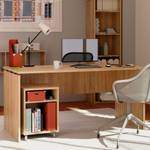 Bureau Zenith BRI-14117 Marron