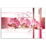 Bilder Orchidee Blumen Rosa Pflanzen
