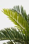 Plante artificielle Cycas-Palme 34 x 33 x 34 cm