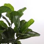 Kunstpflanze Ficus Lyrata