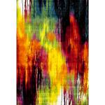 Tapis salon BE 72 120x170 multicolore 120 x 170 cm