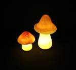 LED-Deko Pilz Set 2tlg. Rot - Weiß - Kunststoff - 11 x 17 x 11 cm