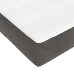 Boxspringbett 3017513-5 Dunkelgrau - 160 x 25 cm