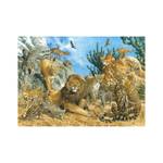 Puzzle Raubkatzen 500 Teile Papier - 24 x 4 x 34 cm