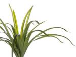 Plante artificielle DRACAENA ANITA 55 x 147 x 55 cm