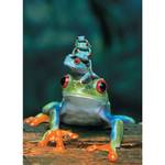 1000 Laubfrosch Puzzle Teile Rot盲ugiger