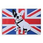 Pop art Bulldogge Englische Leinwandbild