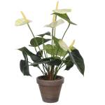 Plante artificielle Anthurium Blanc