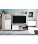 Meuble TV 2 niches et 1 porte Blanc - Bois manufacturé - Matière plastique - 40 x 50 x 135 cm