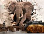 Vlies Fototapete Tiere 3D Elefant
