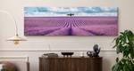 Landschaft 3D Lavendelfeld Panoramabild