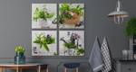 Set De Tableaux HERBES Fleurs Nature 60 x 60 x 60 cm