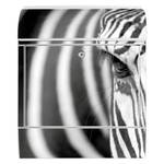 En Stahl Face Briefkasten Zebra