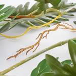 Kunstpflanze Philodendron Selloum Grün - Kunststoff - 37 x 9 x 115 cm