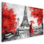 Image Sur Toile TOUR EIFFEL Paris Arbres 70 x 50 x 50 cm