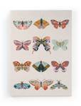 1 Schmetterlinge Leinwand 60x40