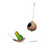 Vogelspielzeug Kokosnuss mit Holzleiter