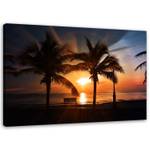 Bild Palmen Strand Sonnenuntergang Meer