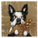 Bild Touched Dog with Pineapple Gold - Textil - 80 x 80 x 3 cm