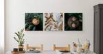 Set De Tableaux CAFÉ Feuilles Nature 180 x 60 x 60 cm