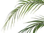 Kunstpflanze ARECA PALM 12 x 124 x 12 cm