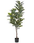 Plante artificielle FICUS ELASTICA 66 x 160 x 66 cm