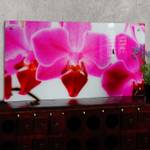 Glasbild T115 50x100cm Orchide Glas - 100 x 50 x 4 cm