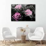 Wandbild Rosa Rosen Natur Blumen