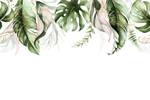 Papier Peint FEUILLES Tropicales Plantes 450 x 300 x 300 cm