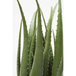 Plante décorative Aloe Vert - Matière plastique - 20 x 69 x 20 cm